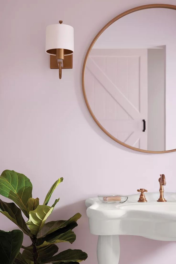 a bathroom sink with a mirror above it and a potted plant next to it