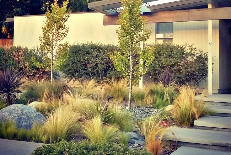 an outdoor garden with rocks, grass and trees in front of a house on a sunny day