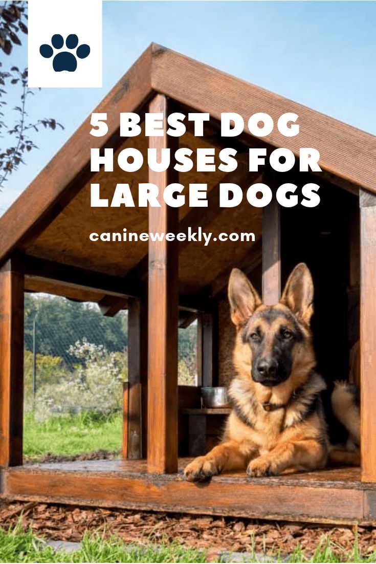 a german shepherd dog sitting in his house with the words 5 best dog houses for large dogs