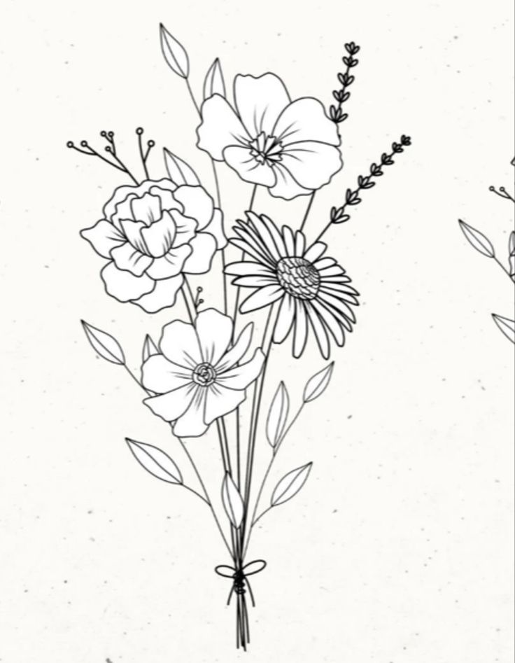 black and white drawing of flowers on a white background