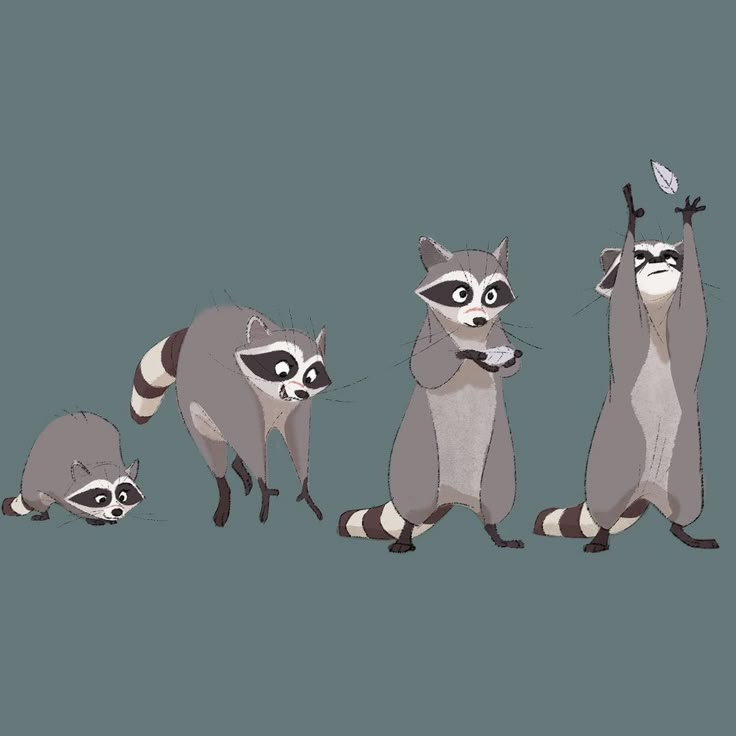 three raccoons are standing next to each other