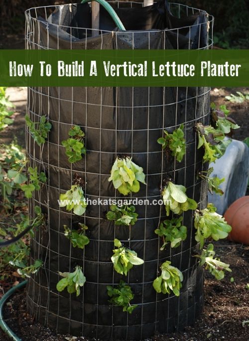 a large metal planter with plants growing in it and the words how to build a vertical lettuce planter