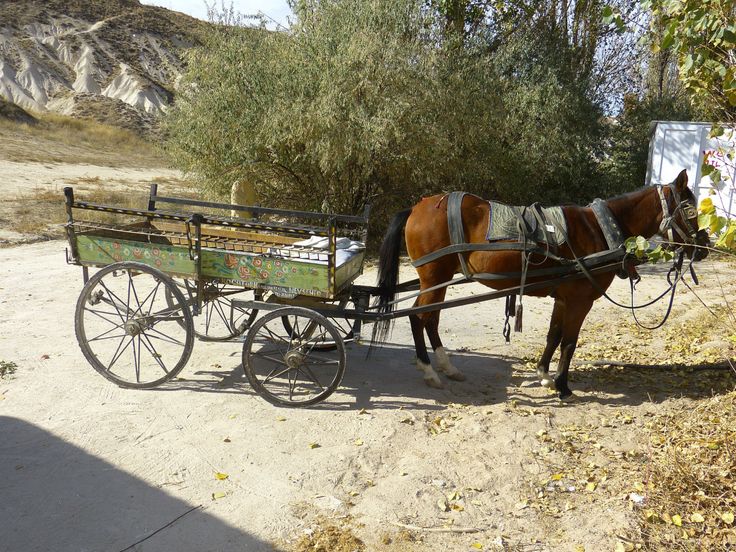 a brown horse pulling a green carriage down a dirt road