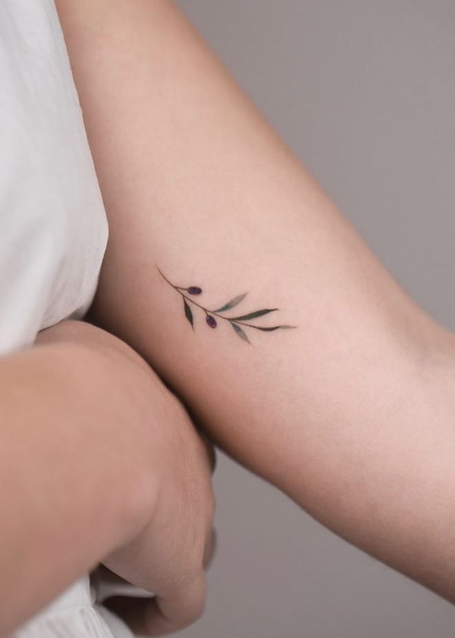 a woman's arm with an olive branch tattoo on the left side of her right arm