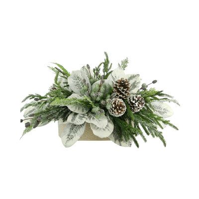 an arrangement of pine cones and greenery in a white vase on a white background