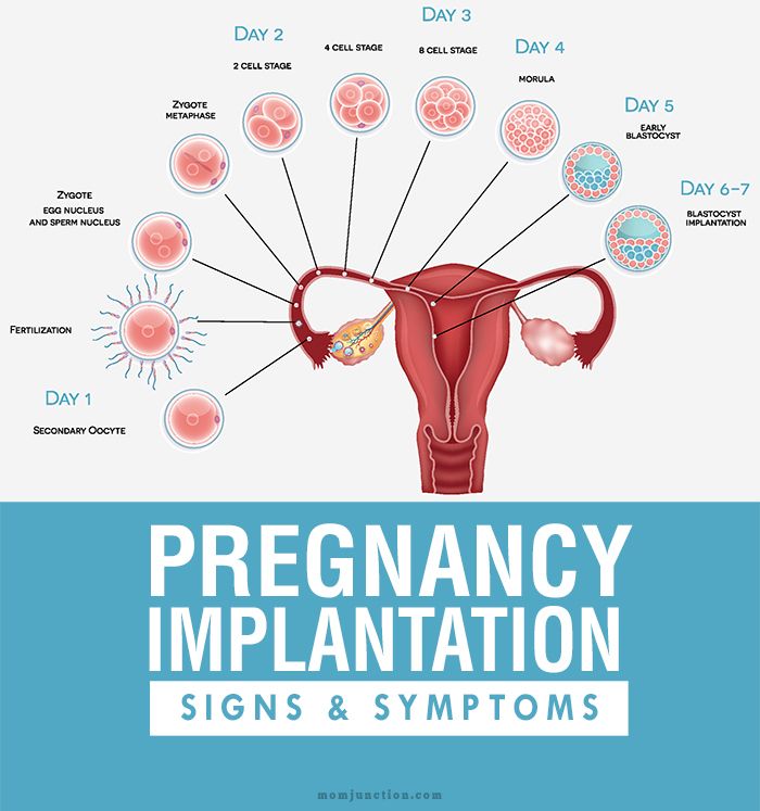 an image of the utensils for pregnant women with signs and symptoms