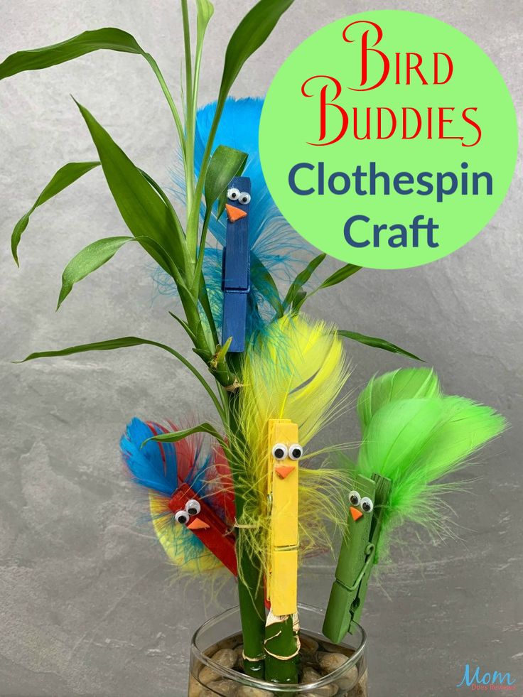 the bird buddies clothespin craft is in a glass vase with some feathers on it