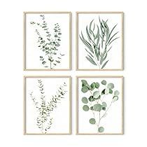 four framed botanical prints in various shades of green