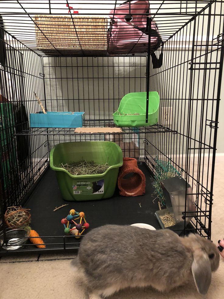 a rabbit in a cage with toys and other items on the floor next to it