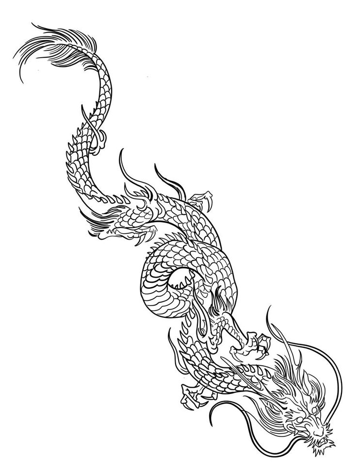 a black and white drawing of a dragon on a white background, with the tail curled up