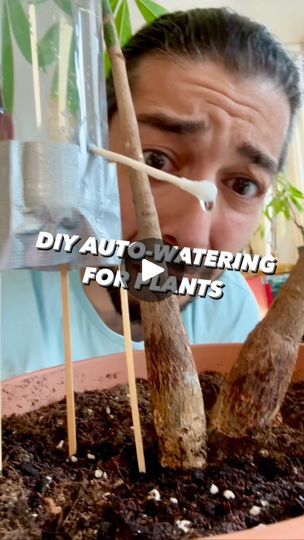 a man looking at some plants in a pot with the words diy auto watering for ants