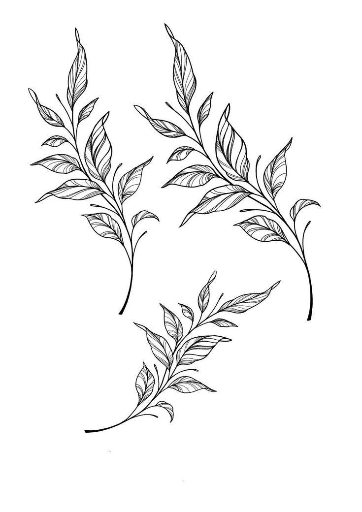 two branches with leaves drawn on them