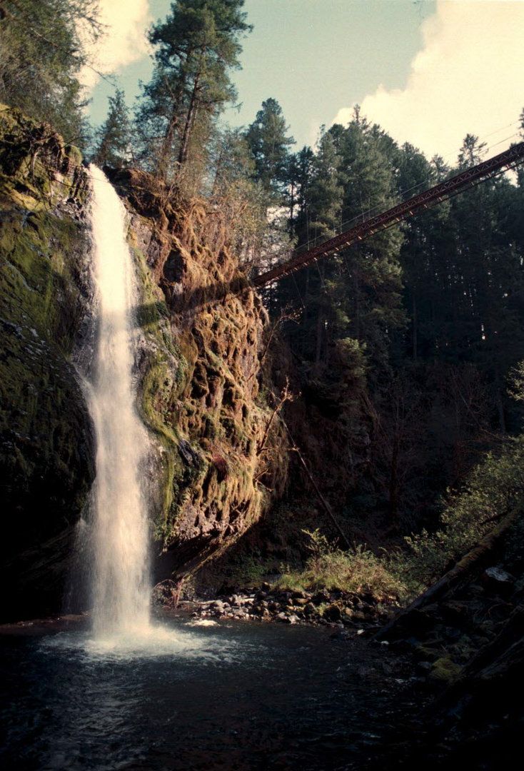 a large waterfall is in the middle of a forest