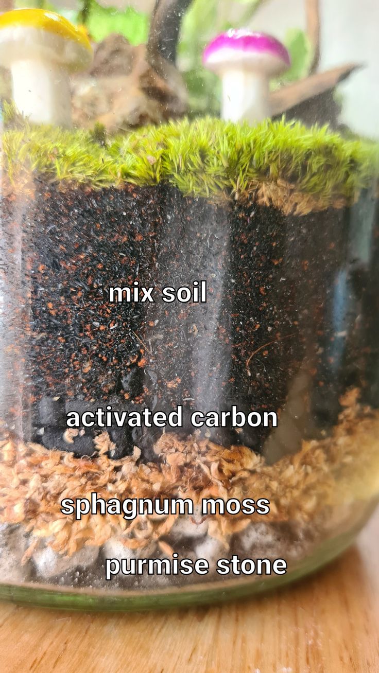 a jar filled with dirt and plants on top of a wooden table