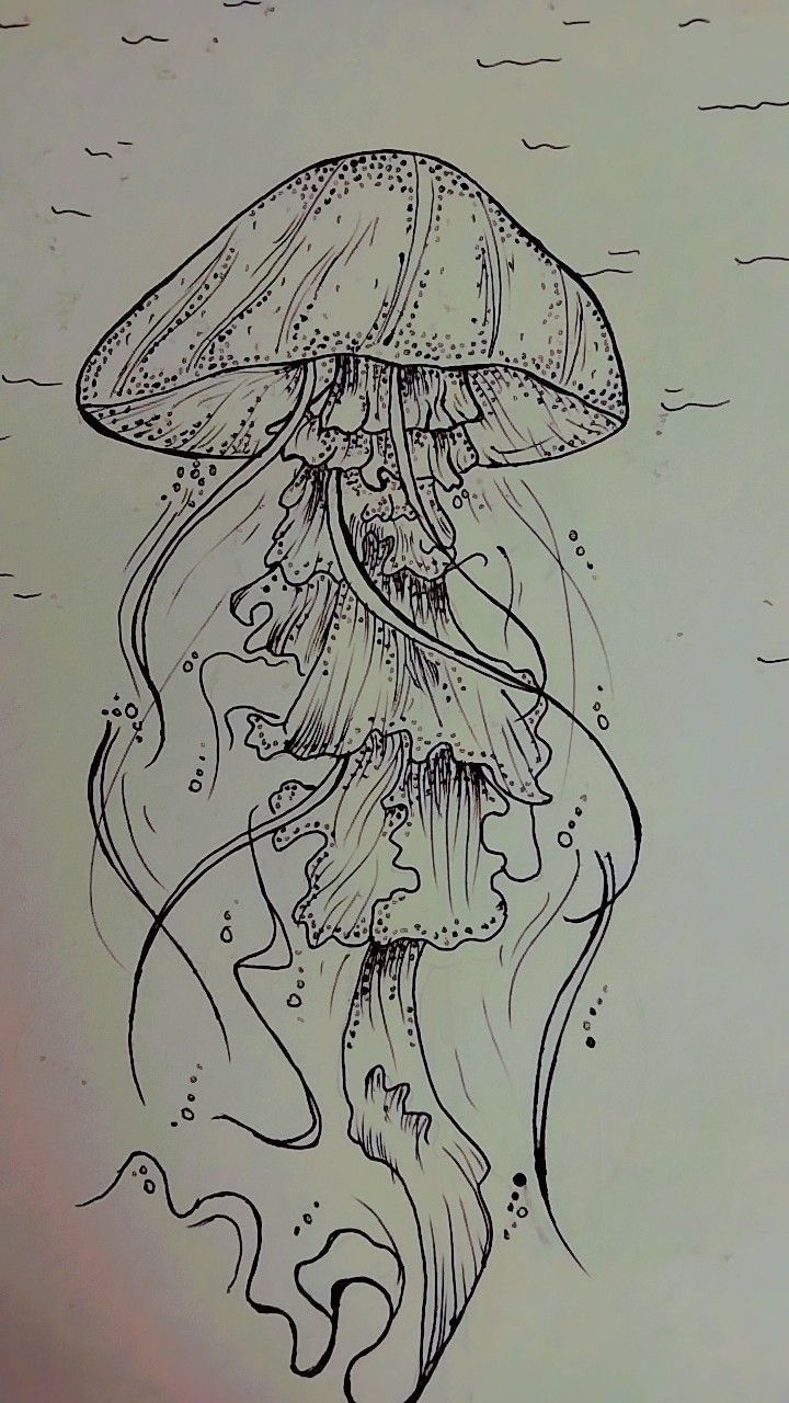 a drawing of a jellyfish in the water