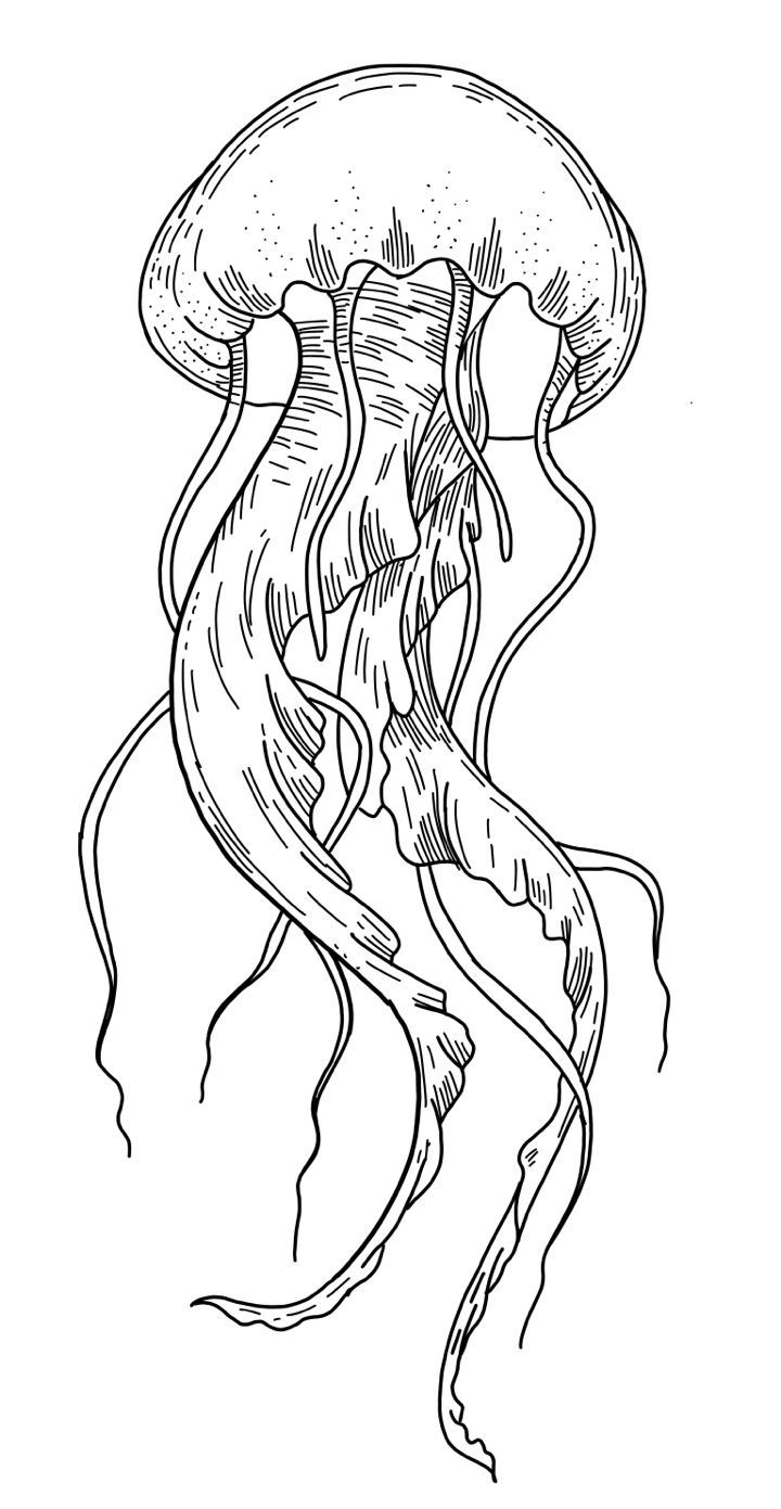 a black and white drawing of a jellyfish with long tentacles on it's head