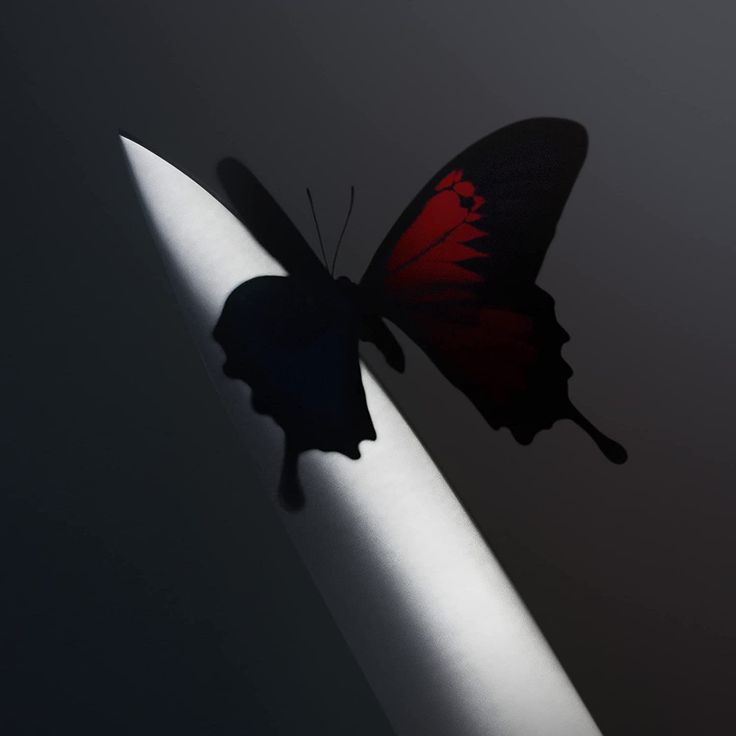 a red butterfly sitting on top of a white pole