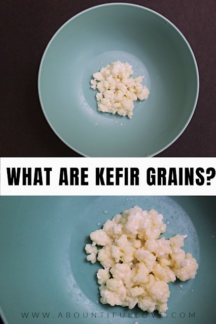 what are kefir grains in a blue bowl and on a green plate with the words, what are kefir grains?