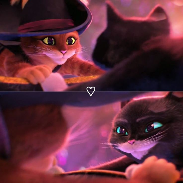 two pictures of cats dressed up as witches and one is wearing a hat with green eyes