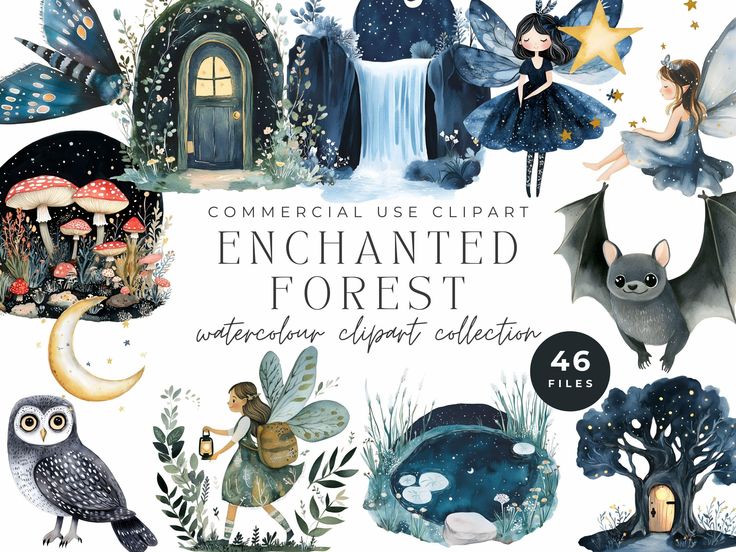 an illustrated set of fairy illustrations with the words,'enchanted forest '