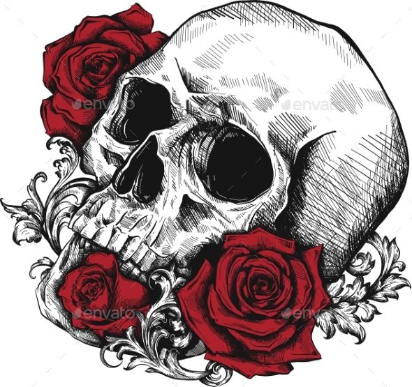 a skull with roses in the background