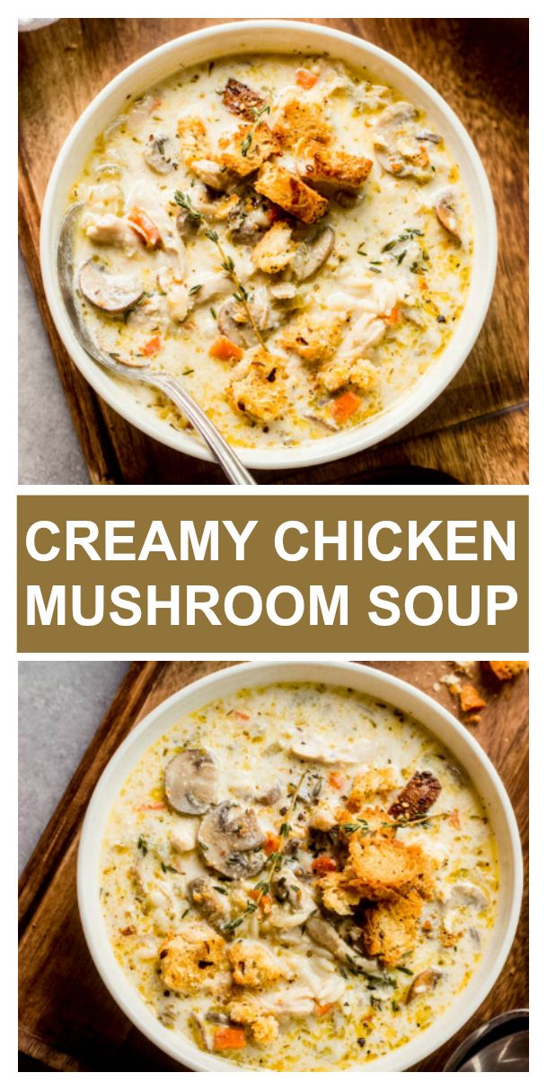 creamy chicken mushroom soup in a white bowl