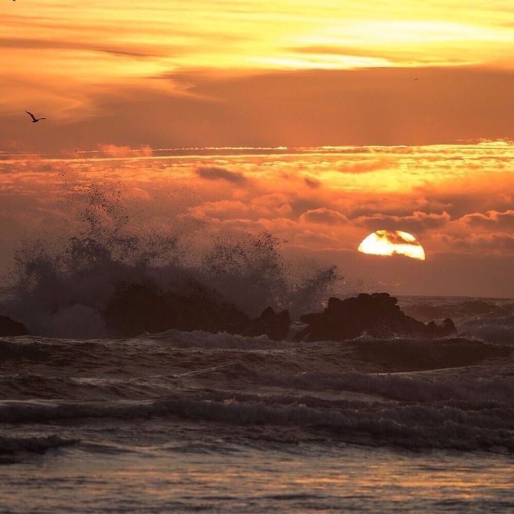 the sun is setting over the ocean with waves crashing on rocks and birds flying in the sky