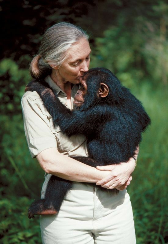 a woman holding a gorilla in her arms