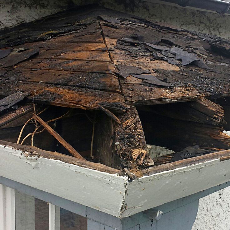 the roof of an old house that has been gutted