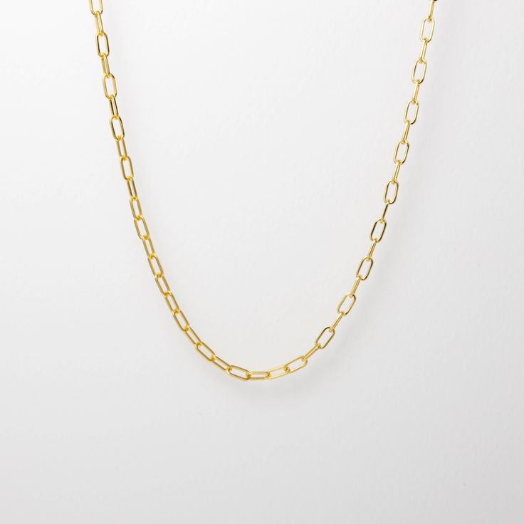 A new classic that pairs perfect with any of our portrait or protective charms. Layer on the love. 18" long Classic Charm Necklace With Delicate Chain For Everyday, Everyday Oval Link Charm Necklaces With Paperclip Chain, Everyday Oval Link Charm Necklace With Paperclip Chain, Everyday Oval Link Paperclip Chain Charm Necklace, Classic Gold Link Charm Necklaces, Everyday Oval Link Charm Necklace With Lobster Clasp, Classic Everyday Chain Necklace With Delicate Chain, Everyday Paperclip Chain Link Charm Necklace, Classic Oval Cable Chain Necklace