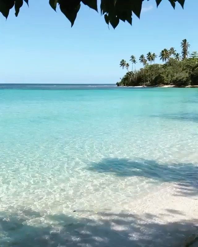 clear blue water with palm trees in the background