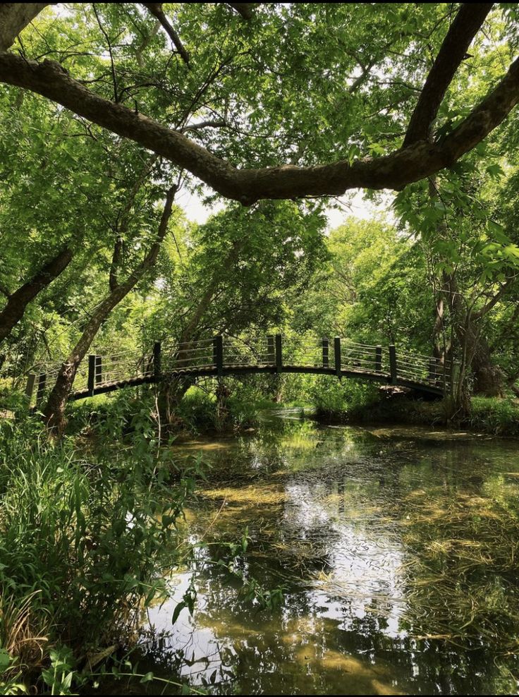 a bridge over a small river surrounded by trees