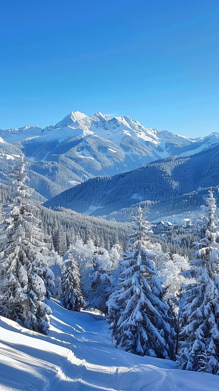 snow covered trees and mountains in the distance