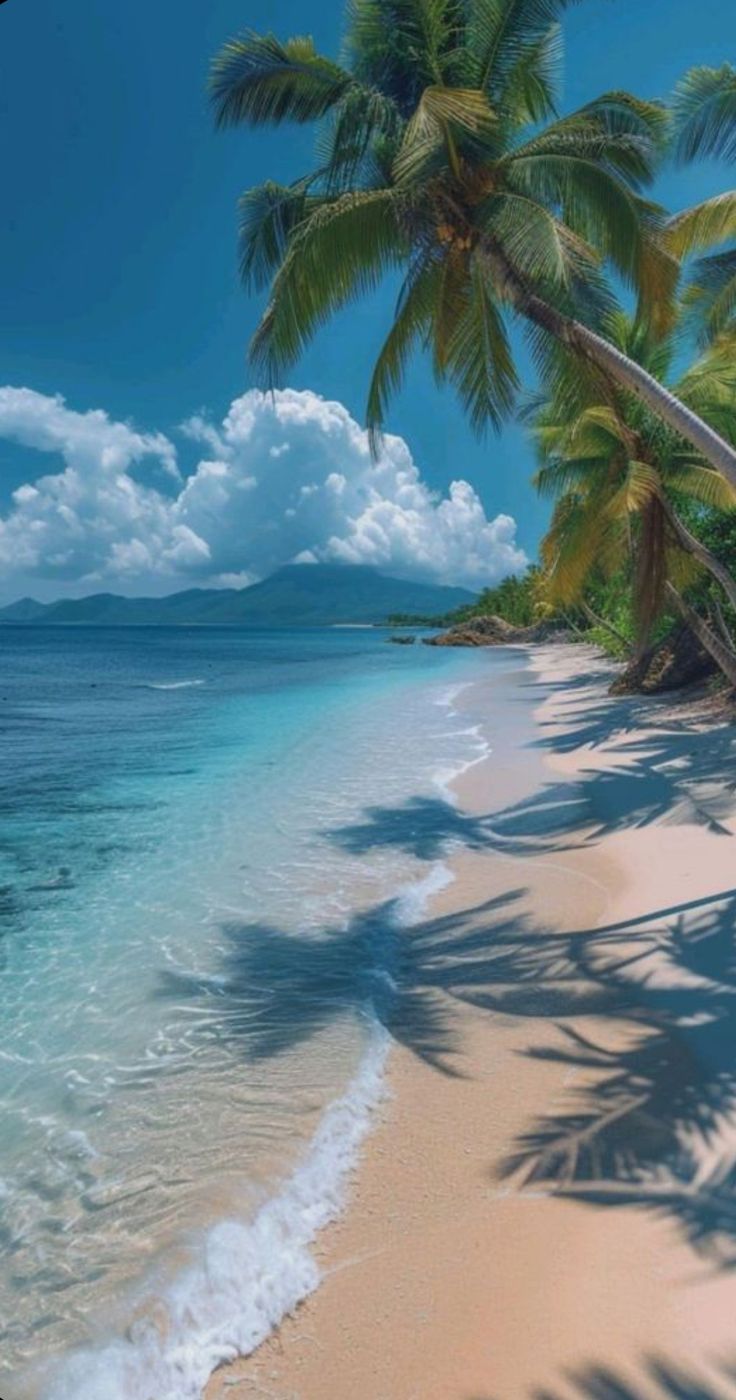 the beach is lined with palm trees and blue water