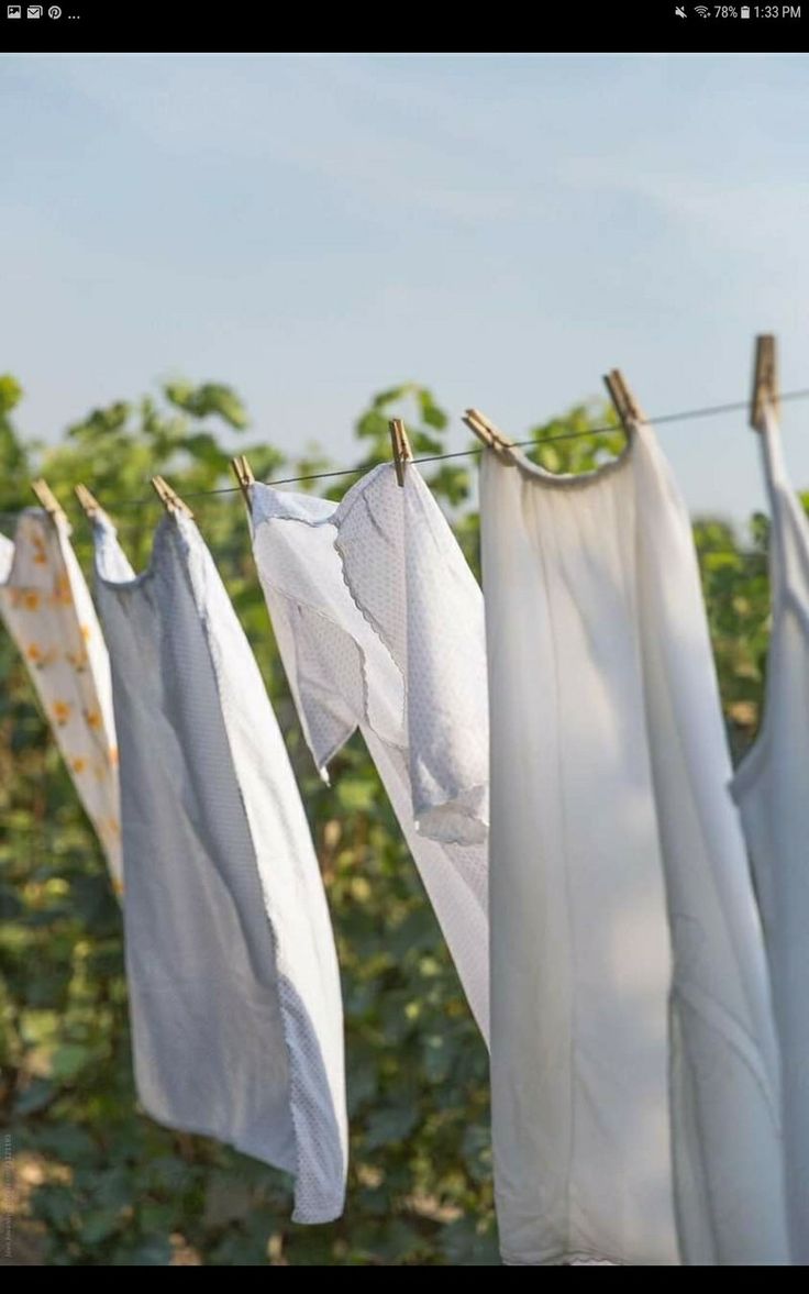 several white towels hanging on clothes line in front of trees