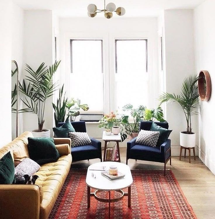 a living room filled with furniture and plants