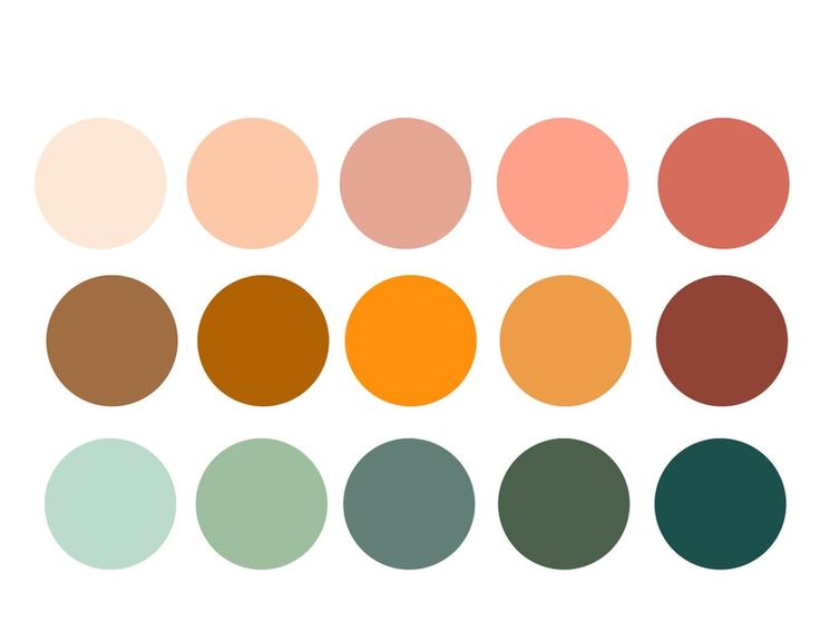 the color palettes are all different colors