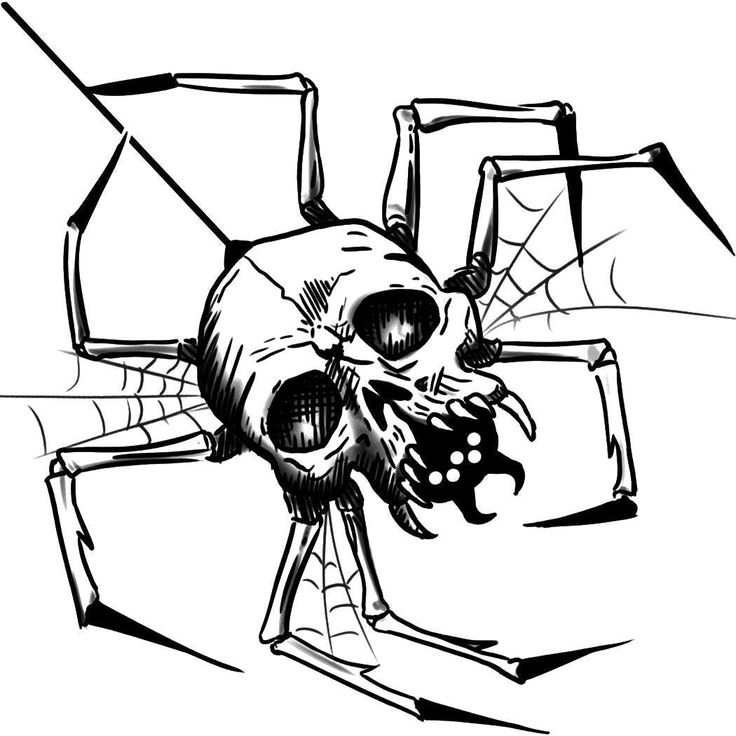 a black and white drawing of a spider with a skull on it's back