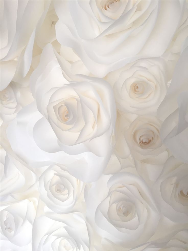 white roses are arranged in the center of this photo, and it looks like they have been made out of paper