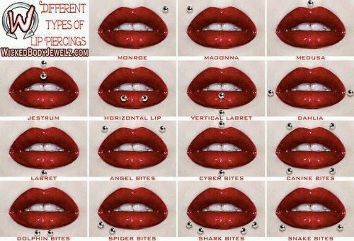 the different types of lips and how they are used to make them look like they're