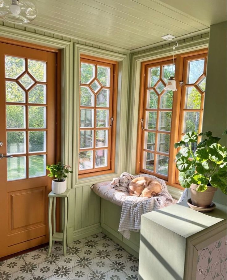 a room with two windows and a dog sleeping on the bed