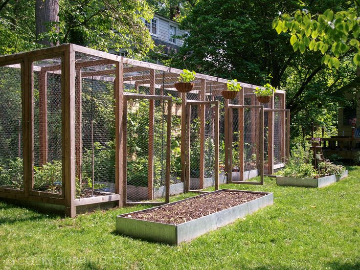 several raised garden beds with plants growing in them on the side of a grassy area