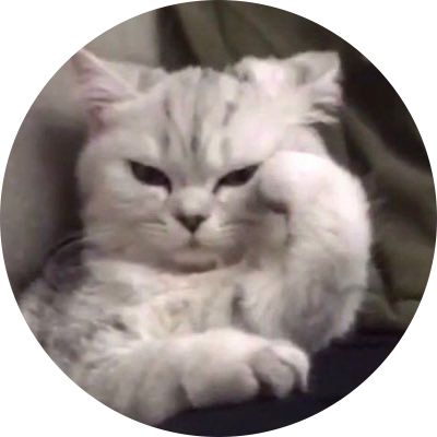 a white cat sitting on top of a couch next to a black and white photo