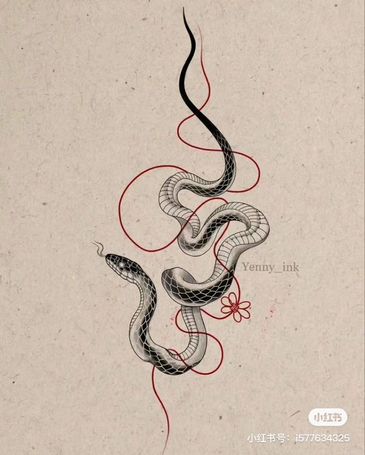 a drawing of a snake with red and black lines on it's back side