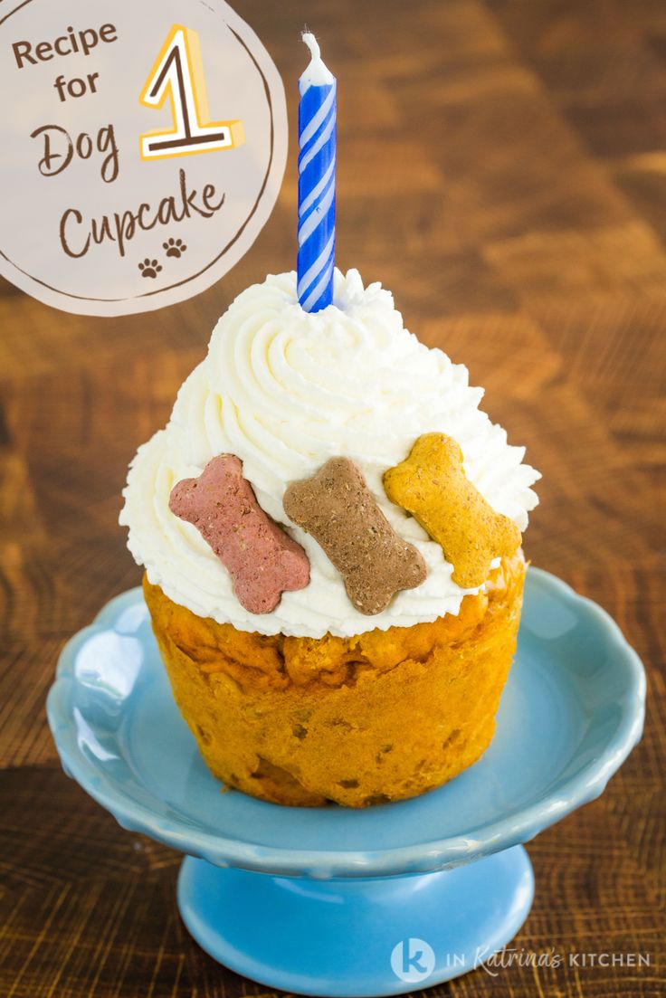 a cupcake on a blue plate with a candle