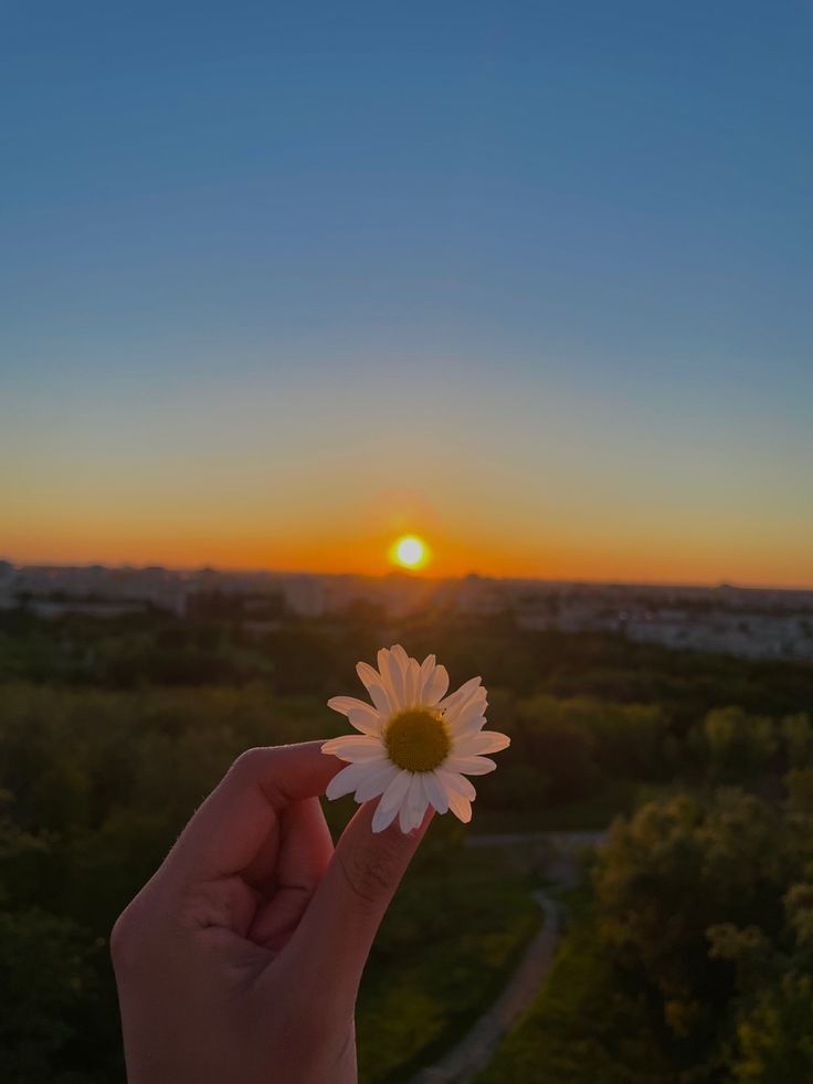 a person holding a flower in their hand with the sun setting over trees behind them