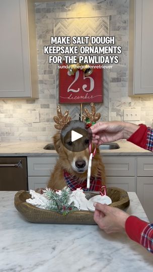 a dog is sitting in a bowl on the kitchen counter while someone lights candles for him