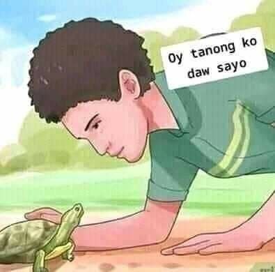 a boy is playing with a turtle in the sand and has a sign that says oy tang ko daw sayo