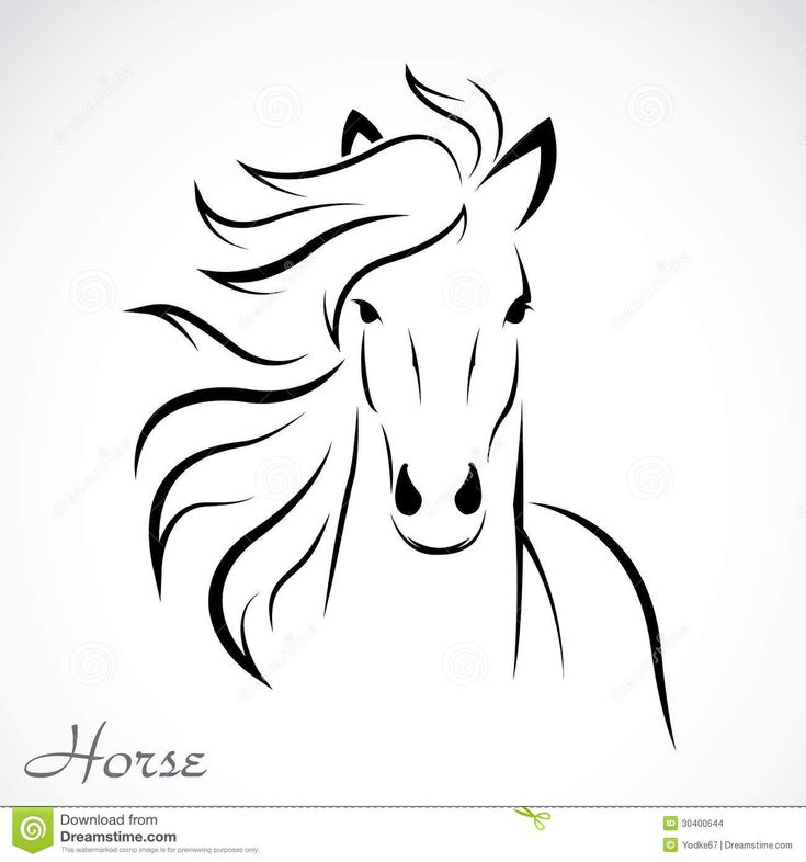 a horse's head in black and white with long hair on its head, drawn by