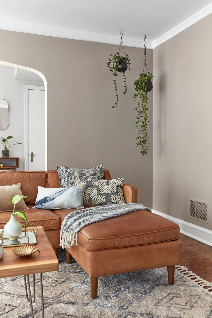 a living room with a couch, ottoman and potted plant hanging on the wall